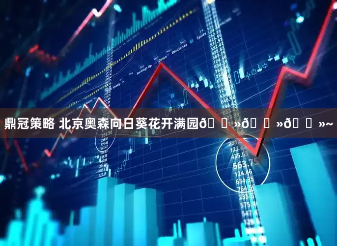 鼎冠策略 北京奥森向日葵花开满园🌻🌻🌻~