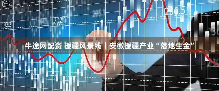 牛途网配资 援疆风景线｜安徽援疆产业“落地生金”