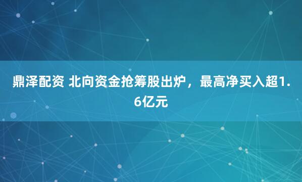 鼎泽配资 北向资金抢筹股出炉，最高净买入超1.6亿元