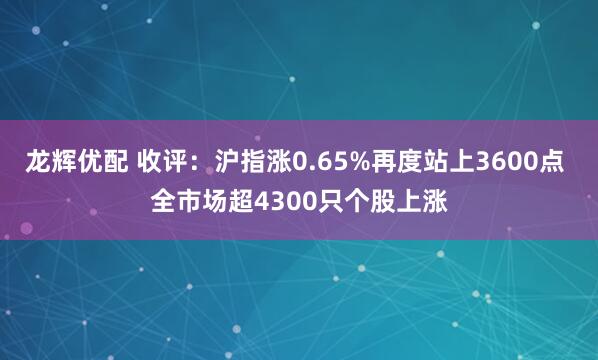 龙辉优配 收评：沪指涨0.65%再度站上3600点 全市场超4300只个股上涨